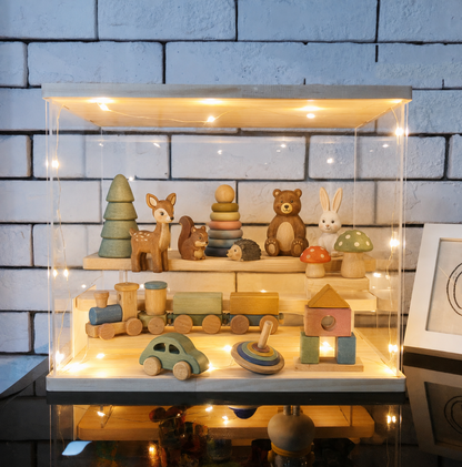 Transparante display organizer – geef kleine verzamelingen eindelijk een eigen plek